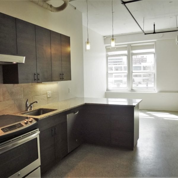 117 Lofts – Apartment 310 – Portland