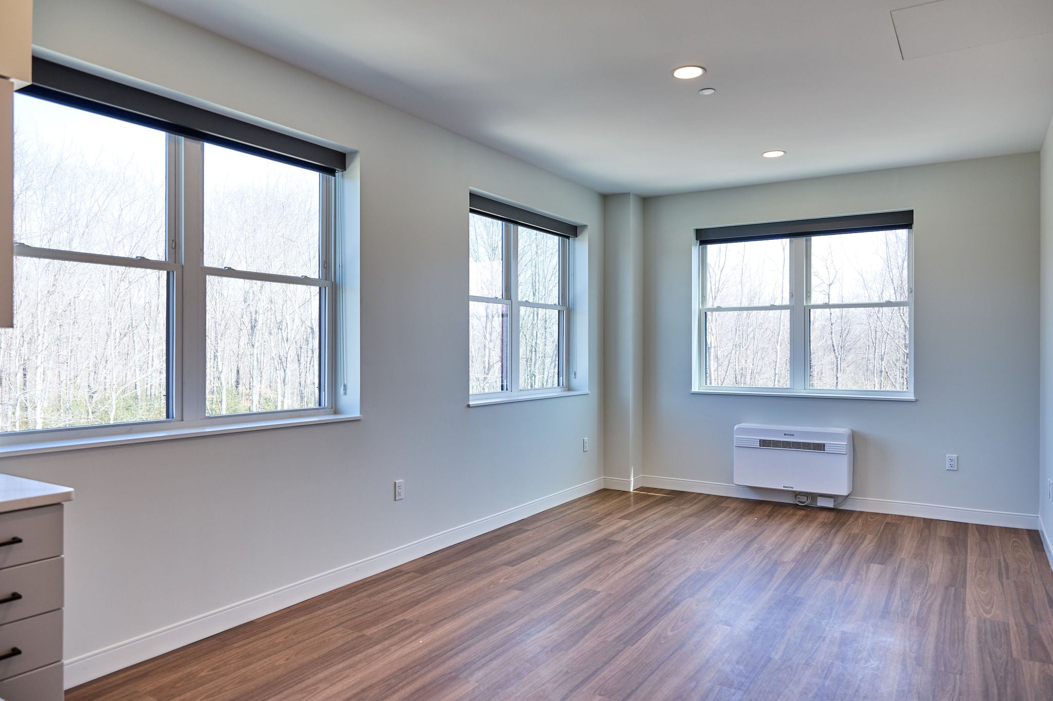 8 Eddy Ave – Apt 230 | The Eddy, Biddeford *Corner*
